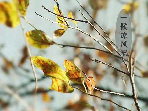 1号彩1086 - 首页