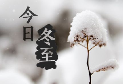 1号彩1086 - 首页