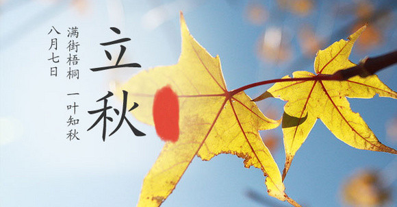 1号彩1086 - 首页