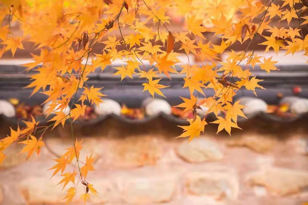 1号彩1086 - 首页