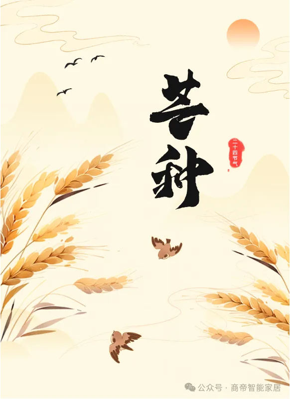 1号彩1086 - 首页